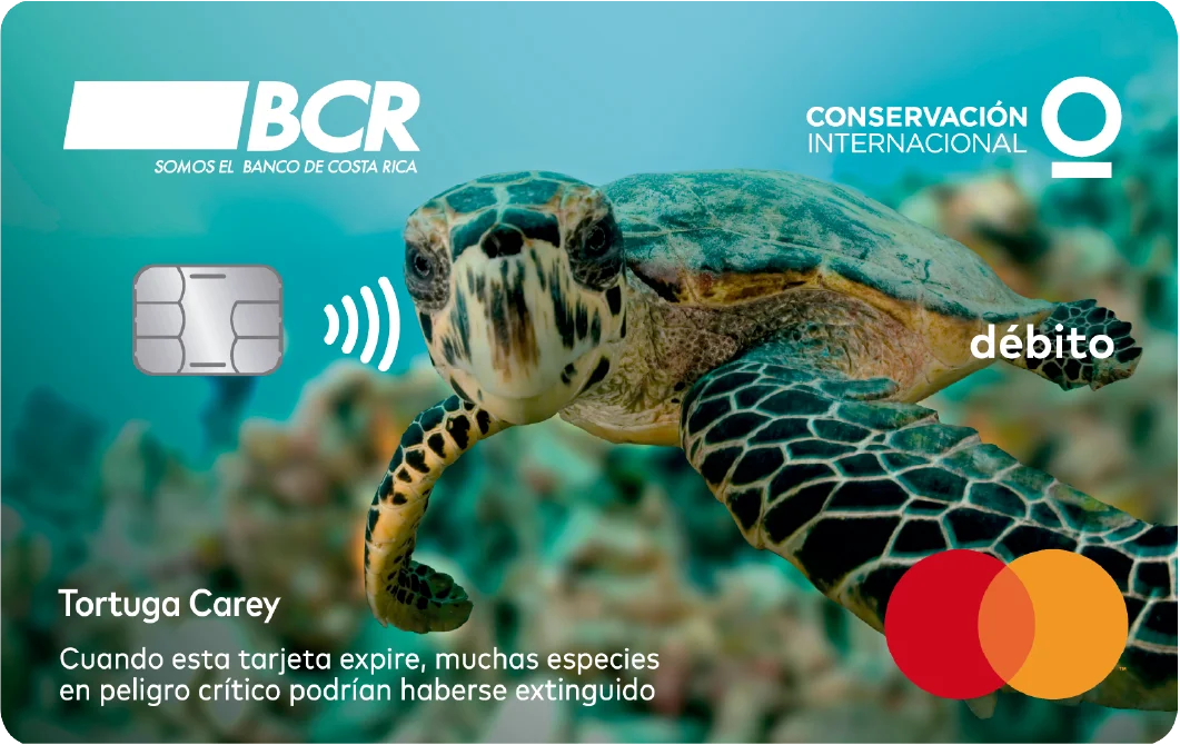 Tarjeta ilustrada con una tortuga carey en el fondo del mar