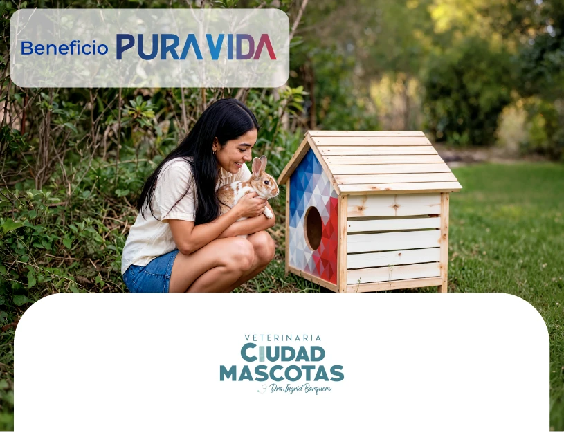 Pomoción Clínica Zhen