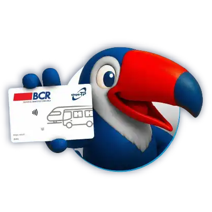 Ilustración de tucán 