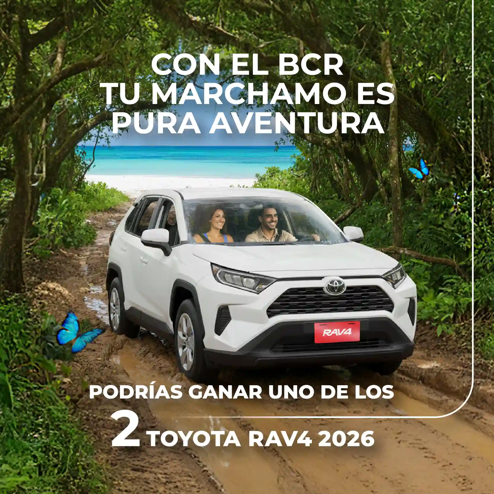 Con el BCR tu marchamo es pura aventura. Podrias ganar uno de los 2 Rav4 2026.